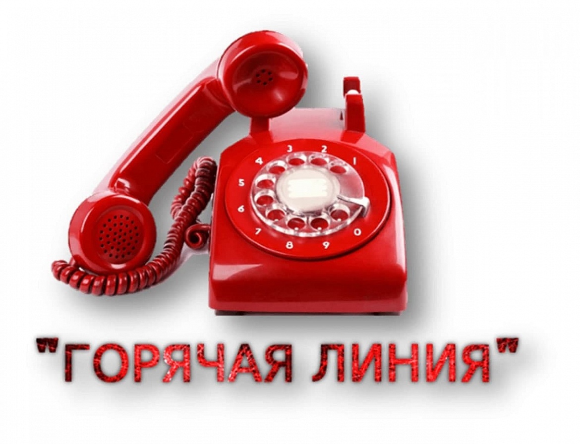Телефоны «горячей линии» поликлиник Люберецкой областной больницы